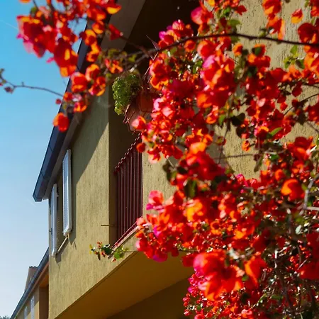 Apartment Il Mare E La Portoferraio